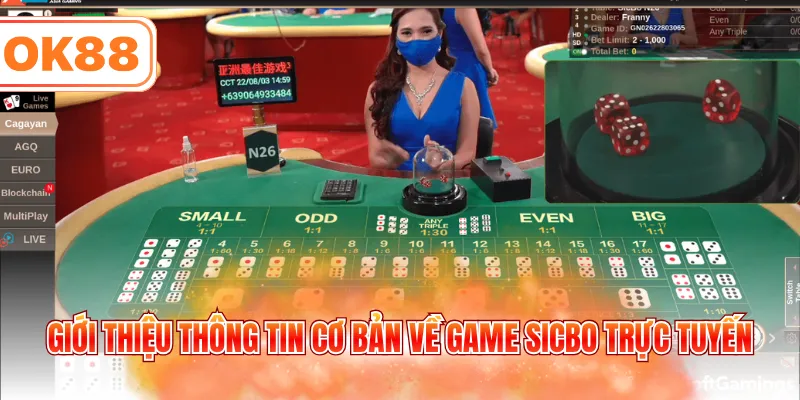 Giới thiệu thông tin cơ bản về game Sicbo trực tuyến