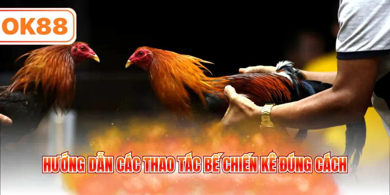 Hướng dẫn các thao tác bế chiến kê đúng cách