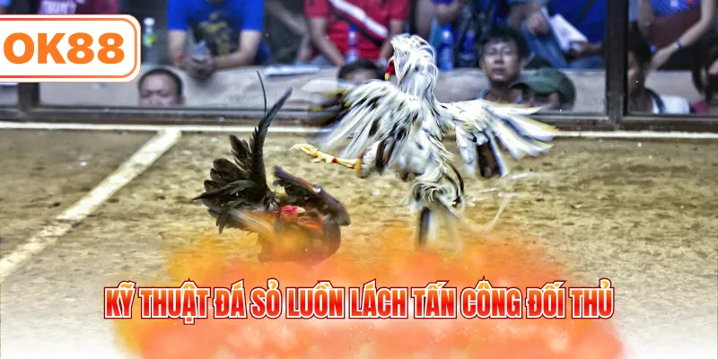 Kỹ thuật đá sỏ luồn lách tấn công đối thủ