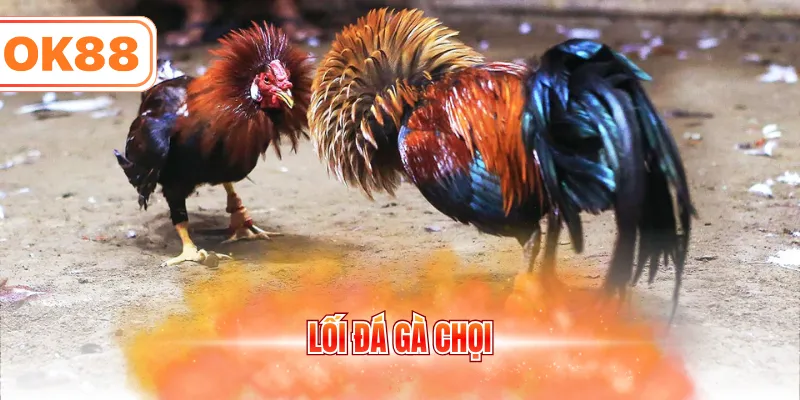 Lối đá gà chọi