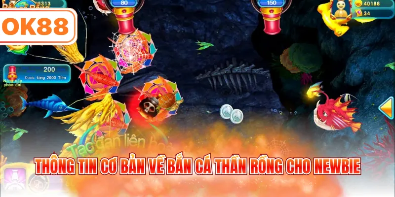Thông tin cơ bản về bắn cá thần rồng cho Newbie