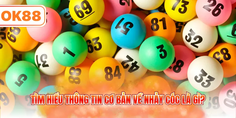 Tìm hiểu thông tin cơ bản về nhảy cóc là gì?
