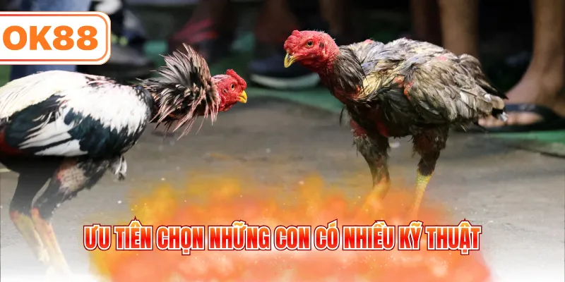 Ưu tiên chọn những con có nhiều kỹ thuật